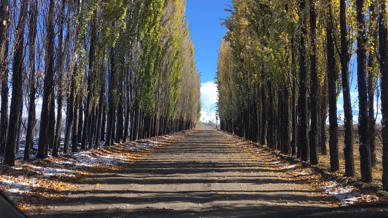 Posada Salentein Лос-Арболес Экстерьер фото